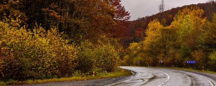 Comment savoir si un pneu est adapté à la conduite sous la pluie ?